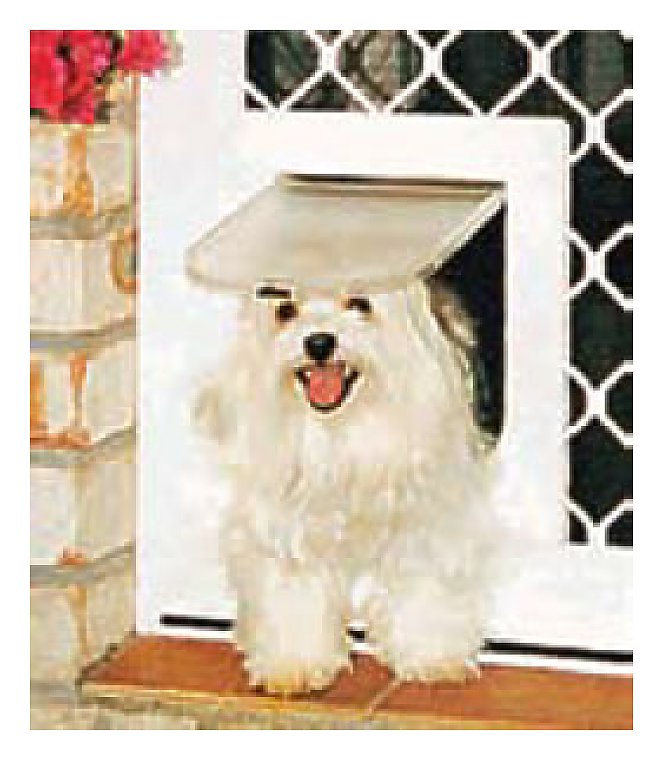 Pet door security door Safe Haven Security Doors