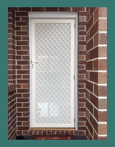 Aluminium security door