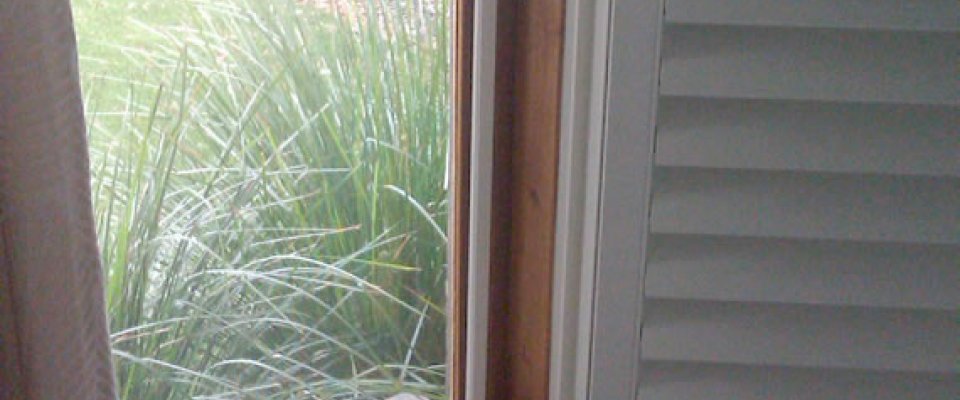 Window flyscreen with winder